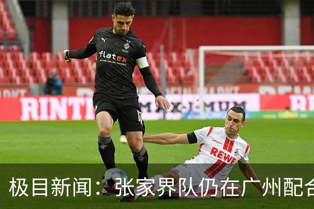 极目新闻：张家界队仍在广州配合调查，警方和多个主管部门已介入